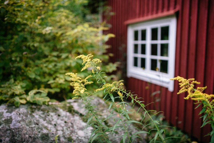 Välkommen med på retreat! Välkommen med på retreat!
