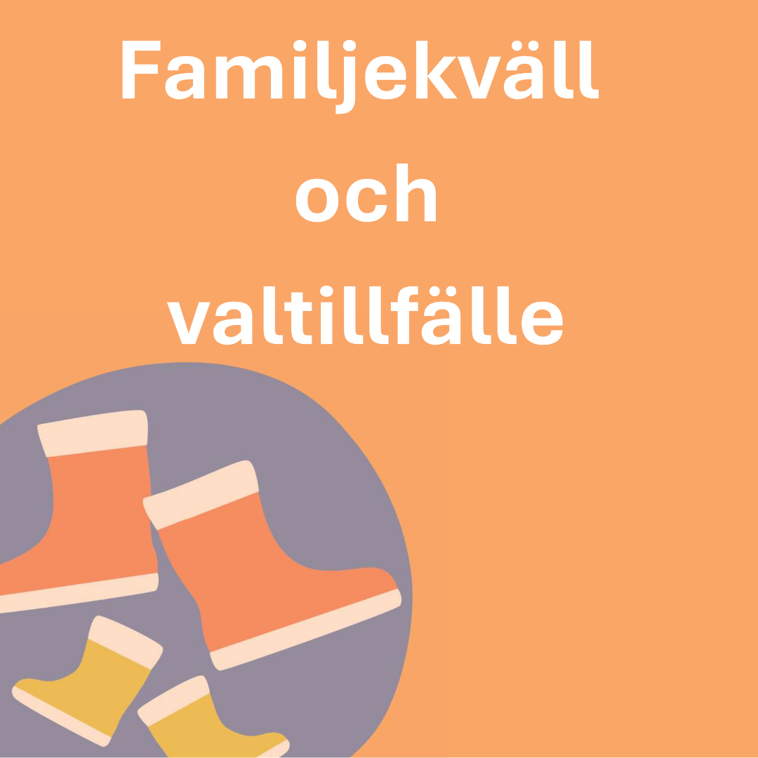 Familjekväll med valtema